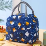 Blue Lunch Box Bag